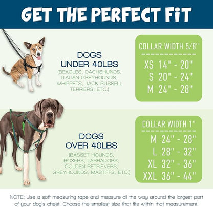 2 Hounds Design Freedom No Pull Dog Harness and Leash, 5/8" SM, Silver | Promotes Easy Walking & Comfortable Control, Secure Fit, Adjustable Harness and Leash Set for Small Sized Dogs, Made in USA