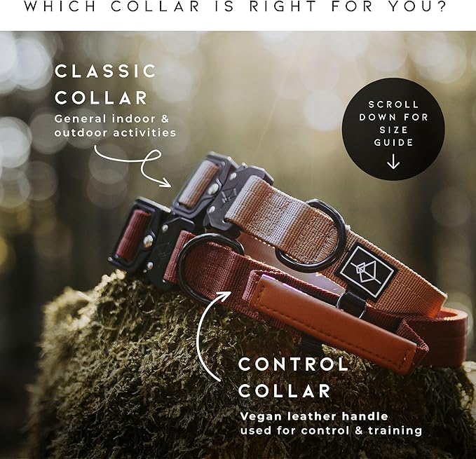 Made to ROAM Premium Explorer Control Collar - Adjustable Heavy Duty Nylon Dog Collar with Quick-Release Metal Buckle and Leather Handle (Nevada Evening, Size 2, Control)