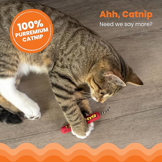 Catstages Green Magic Dynamite Stick Catnip Cat Toy