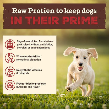 Primal Kibble in The Raw, Freeze Dried Dog Food, Puppy Recipe, Scoop & Serve, Made with Raw Protein, Whole Ingredient Nutrition, Crafted in The USA, Dry Dog Food 1.5 lb Bag