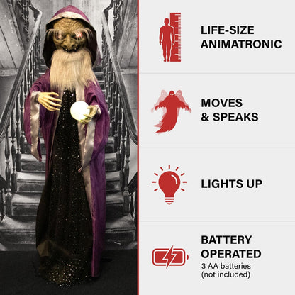 Haunted Hill Farm Talking Wizard Halloween Animatronic with Movement and Light-Up Crystal Ball for Scary Indoor or Covered Outdoor Halloween Decorations, Battery Operated Halloween Prop