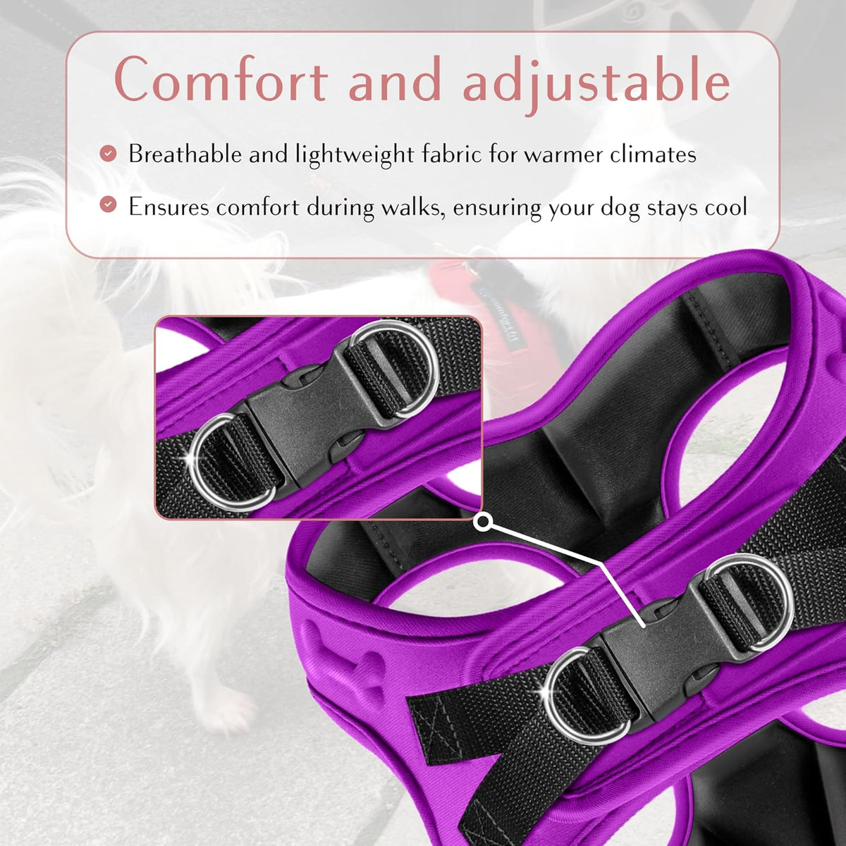Comfort fit Step-in Dog & Puppy Harness - Comfortable All Weather Dog Vest Harness: Adjustable, Soft Padded, Easy to Put-on for Small, Medium-Sized Dogs.