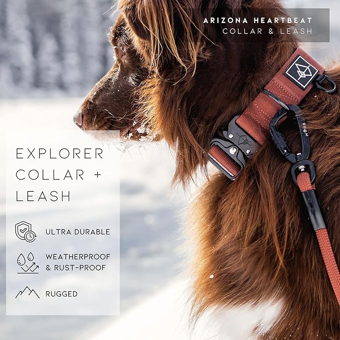Made to ROAM Premium Dog Collar - Adjustable Heavy Duty Nylon Collar with Quick-Release Metal Buckle (California Horizon, Classic Size 2)