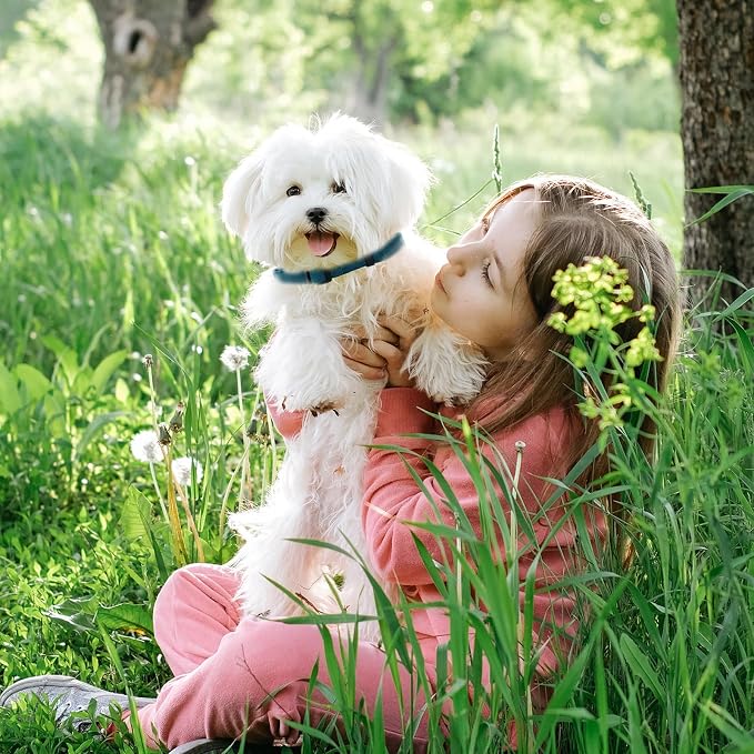 Peacock Blue Dog Collar and Leash Set for Small Dogs Soft and Breathable of 90% Rayon from Bamboo and 10% Polyester Comfortable Skin-Friendly, Adjustable Leash Set with Quick Release Buckle
