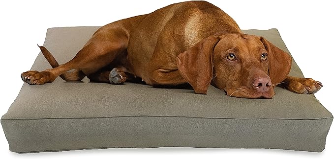 X-Large - 48 x 30 x 5 - Natural Premium Organic Hemp Dog Bed - CertiPUR Fill - Removeable Cover