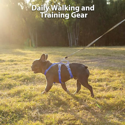 Escape Proof Dog Harness, No Pull Reflective Harness with Lift Handle, Adjustable Pet Vest with Front and Back Leash Clips for Small Medium Large Dogs Walking Hiking Training (Vista Blue,L)