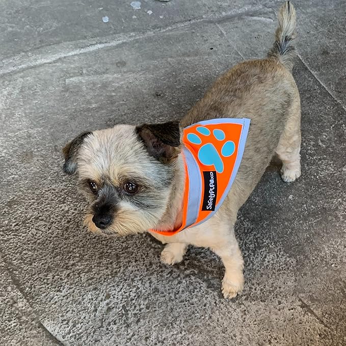Bandana for Dogs. Blaze Orange Scarf with Reflective Collar is a Perfect Pet Bandana for Girl and Boy Dogs. Enhance Your Dog Walking Accessories with Our High-Visibility Adjustable Dog Handkerchief