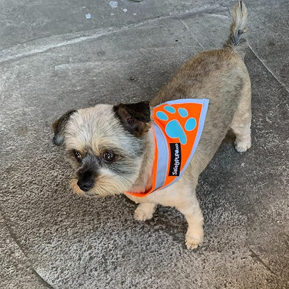 Bandana for Dogs. Blaze Orange Scarf with Reflective Collar is a Perfect Pet Bandana for Girl and Boy Dogs. Enhance Your Dog Walking Accessories with Our High-Visibility Adjustable Dog Handkerchief