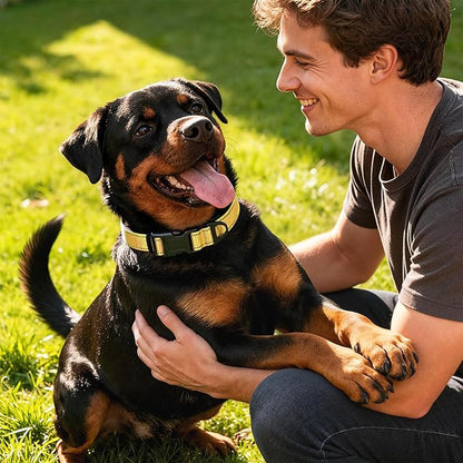 Reflective Dog Collar with Quick Release Buckle - Metal Ring - Adjustable Soft Neoprene Padded Basic Dog Collar for Small Medium Large Dogs (Yellow, Large :Width 1",Neck 15.7-23.6")