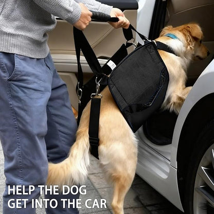 Adjustable Dog Lift Harness, Dog Carry Sling Provides Rear Leg Support for Senior Dogs, Arthritis and After ACL Surgery Dogs,Suitable for Medium to Large Dogs,Black L
