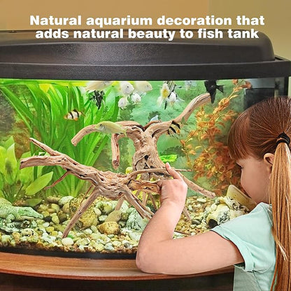 WDEFUN Natural Spiderwood for Aquarium Decor 2-Piece 11''-14'' Long Natural Driftwood Branches for Fish Tank Decorations