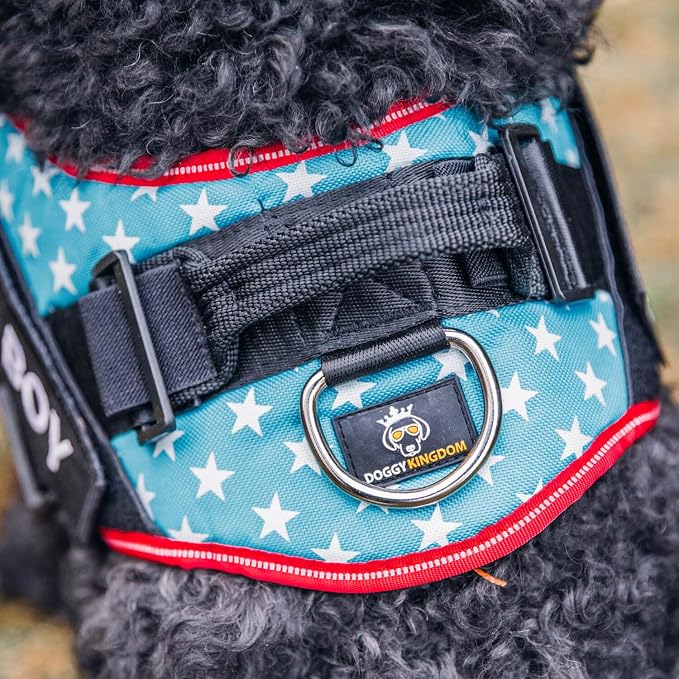 Personalized Dog Harness with Custom Name Patches, Adjustable Reflective No Choke Dog Vest with Handle for Large Dogs, Motorsport, L