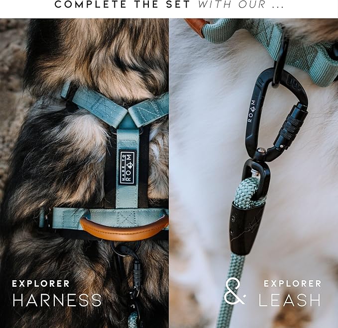 Made to ROAM Premium Explorer Control Collar - Adjustable Heavy Duty Nylon Dog Collar with Quick-Release Metal Buckle and Leather Handle (Texas Flair, Size 2, Control)