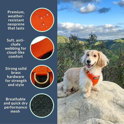 Adventure Dog Harness - Stylish, & Durable Small Dog Harness for Outdoor Adventures and Everyday Wear - Sunset Orange Neoprene Adjustable Harness for Dogs with Reflective Piping & Brass D-Ring