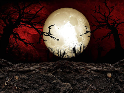 SHRAPHY Full Moon Tapestry Moon Horror Cemetery Scarlet Sky Tapestry Event Bedroom Home Decor 80X60 Inches GTLSUH123