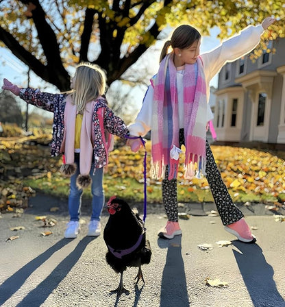3 Pack Chicken Harness and Leash Set Adjustable Hen Vest with Matching Belt Breathable Mesh Training Harness Pets Leash for Hens Duck Goose Small Pet-Green&Purple&Blue,L