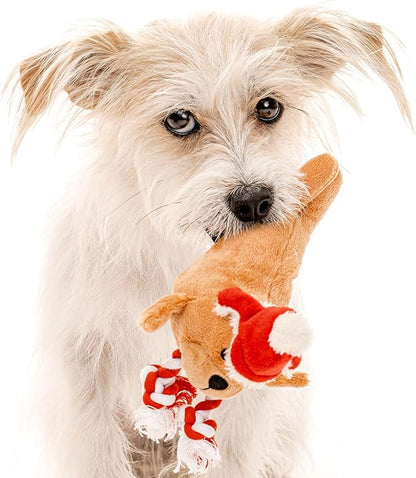 Dog Toys | Holiday Plush Toy Walrus Stuffed Animal for Dogs | Small Eco Friendly Toy - Easy to Clean and Made from Non Toxic Materials