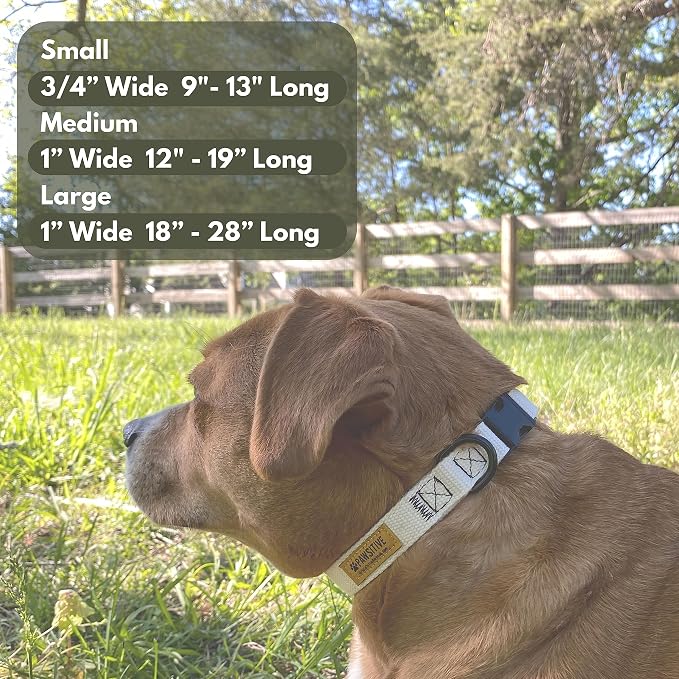 Pawsitive Teal Dog Collar Hemp Dog Collar - Super Soft Hypoallergenic Lining. Great for Small, Medium and Large Dogs; Medium Emerald Green
