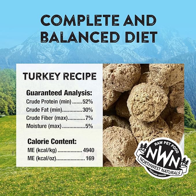 Northwest Naturals Freeze-Dried Turkey Dog Food - Bite-Sized Nuggets - Grain-Free, High-Protein Diet, Human-Grade Pet Food, Limited Ingredients, All Natural, Healthy & Nutritious - 12 Oz (Pack of 2)