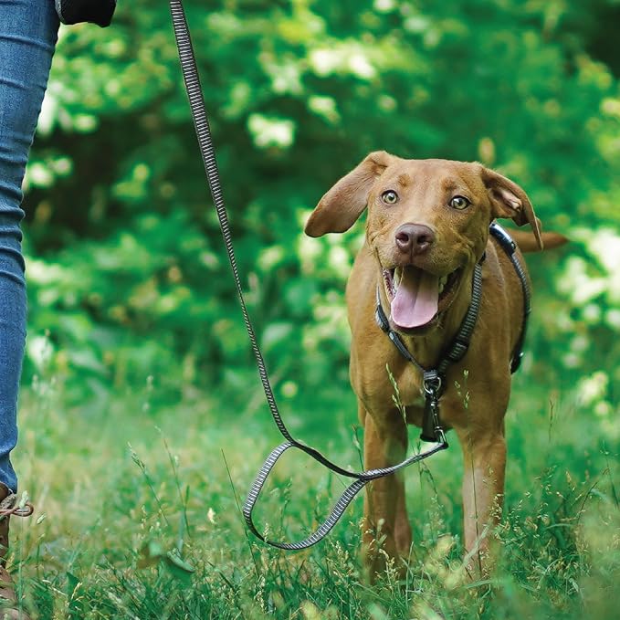 Blue-9 Reflective Buckle-Neck Balance Harness, Fully Customizable Fit No-Pull Harness with 3M Reflective Stitching, Ideal for Dog Training and Obedience, Made in The USA, Grey, Medium/Large