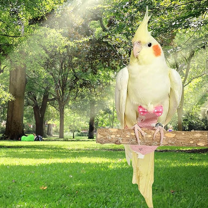 2Pcs Bird Diapers Bird Harness Flight Suits Diapers with 80 Inch Flying Leash Parrot Nappy Washable Cute Urine Wet Suit for Cockatiel Conure Macaw Budgies Parakeet-Rabbit&Pineapple,M
