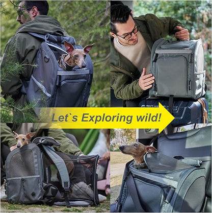Expandable Pet Carrier, Airline-Approved Foldable and Detachable Backpack, Fits 13lbs Cat&11lbs Small Puppy Dog, for Car Travel,Camping and Emergency Transportation and Shelter (Grey)