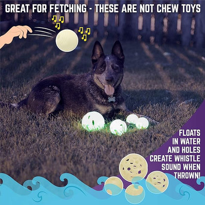Chew King by Mammoth Set of 4 Glowing Fetch Balls, Dog Ball Toys Combo, Durable Bouncy Interactive Toy for Pets, Lightweight