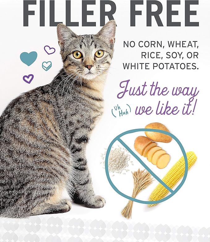 I and love and you Wet Cat Food - Ninja Cat Jiu Jit Stew Variety Pack - Chicken, Salmon, Tuna, Grain Free, Filler Free, 3oz Pack of 12 Cans