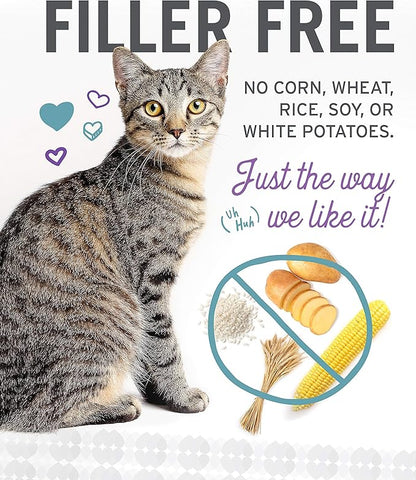 I and love and you Wet Cat Food - Ninja Cat Jiu Jit Stew Variety Pack - Chicken, Salmon, Tuna, Grain Free, Filler Free, 3oz Pack of 12 Cans