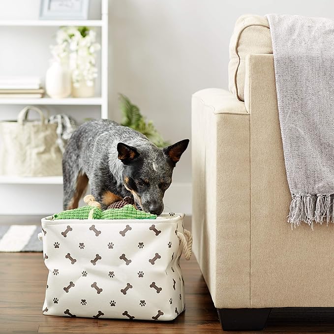 Bone Dry Pet Storage Collection Paw and Bone Print, Medium Rectangle, 16x10x12, Dark Brown