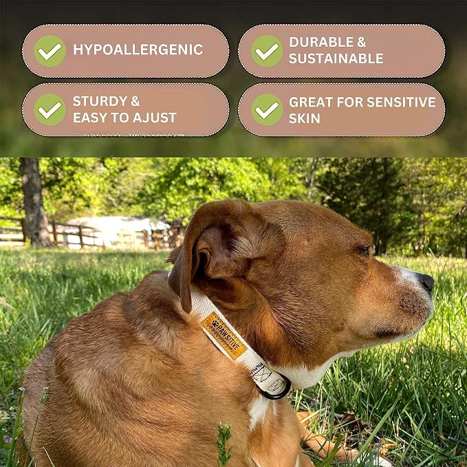 Pawsitive Teal Dog Collar Hemp Dog Collar - Super Soft Hypoallergenic Lining. Great for Small, Medium and Large Dogs; Medium Emerald Green