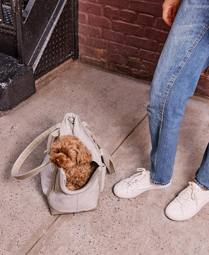 Transit Tote Dog Carrier for Small Dogs Under 8 lbs, 16x11x8 Soft-Sided 4-Pc Set with Waterproof Base, Plush Insert, Food Pouch, Mesh Head Opening - Small, Sand