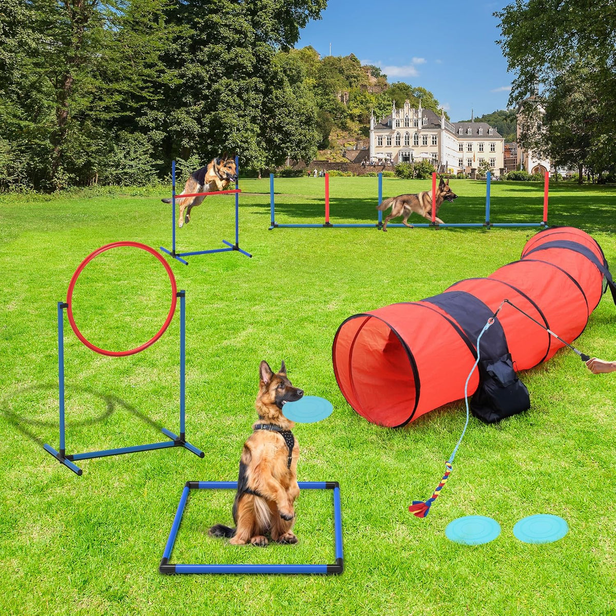 YITAHOME Dog Agility Training Equipment Set with Flexible Tunnel, Hurdle, Jump Ring, 6 Weave Poles, Pause Platform, Teaser Pole, 3 Flying Discs, and Carry Bags for Indoors Outdoors, Orange/Blue